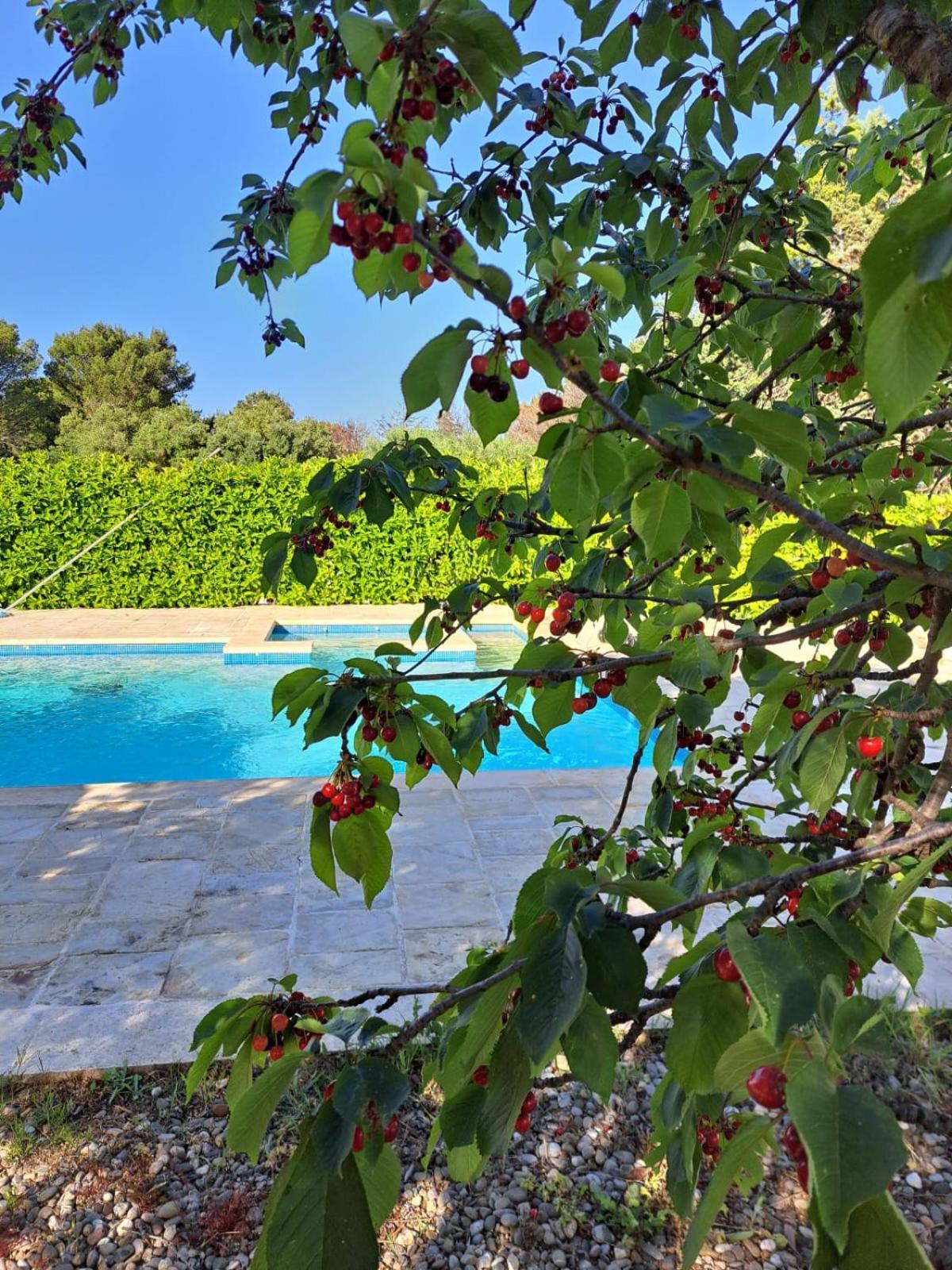 Trulli Gianfelice Villa Martina Franca Eksteriør billede
